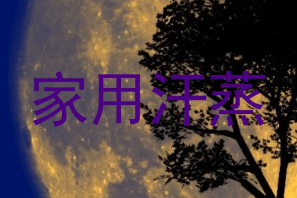 家用汗蒸
