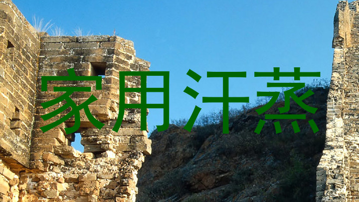 家用汗蒸