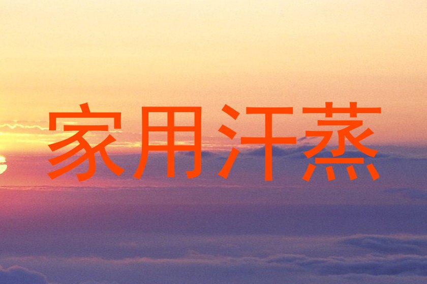 家用汗蒸