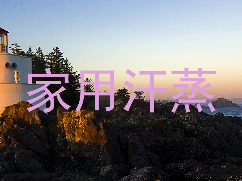 家用汗蒸