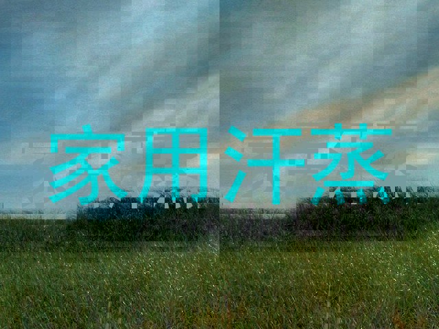 家用汗蒸