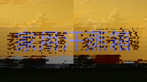 家用汗蒸箱