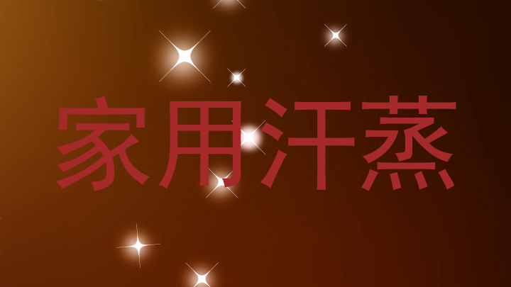 家用汗蒸