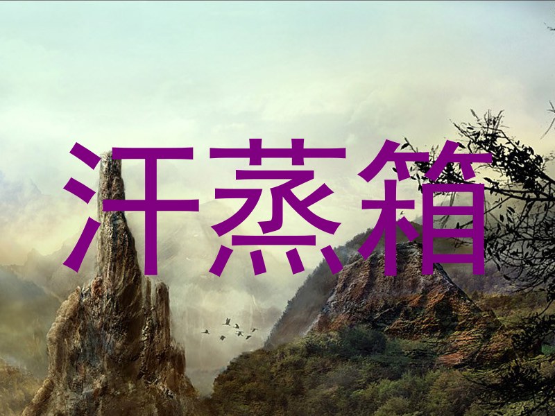 汗蒸箱