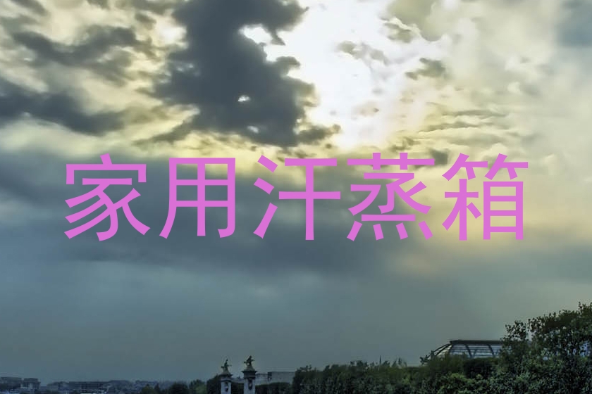家用汗蒸箱