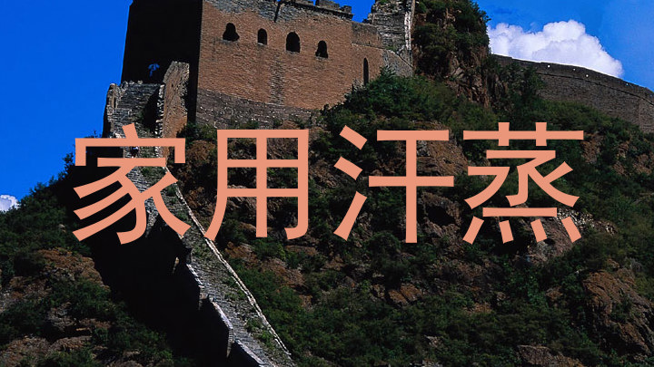 家用汗蒸