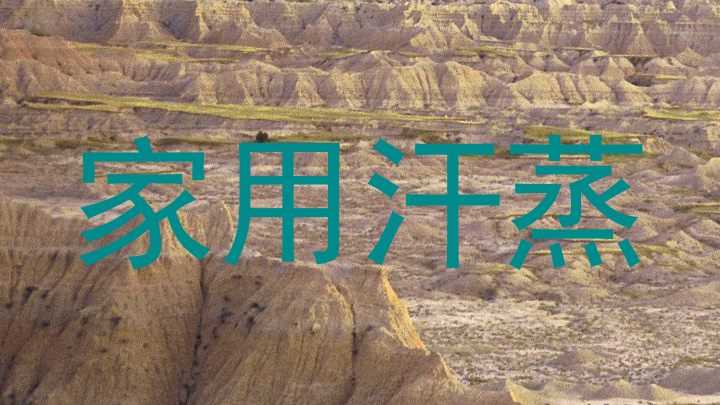 家用汗蒸