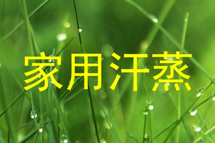 家用汗蒸