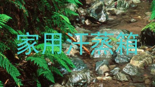 家用汗蒸箱
