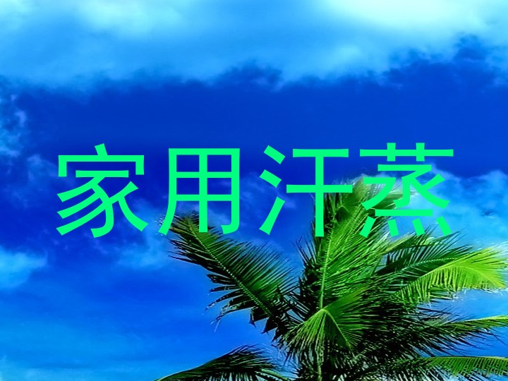 家用汗蒸