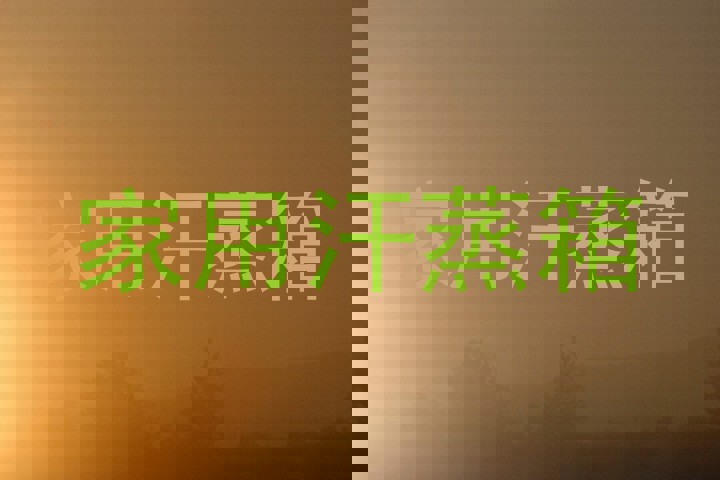 家用汗蒸箱