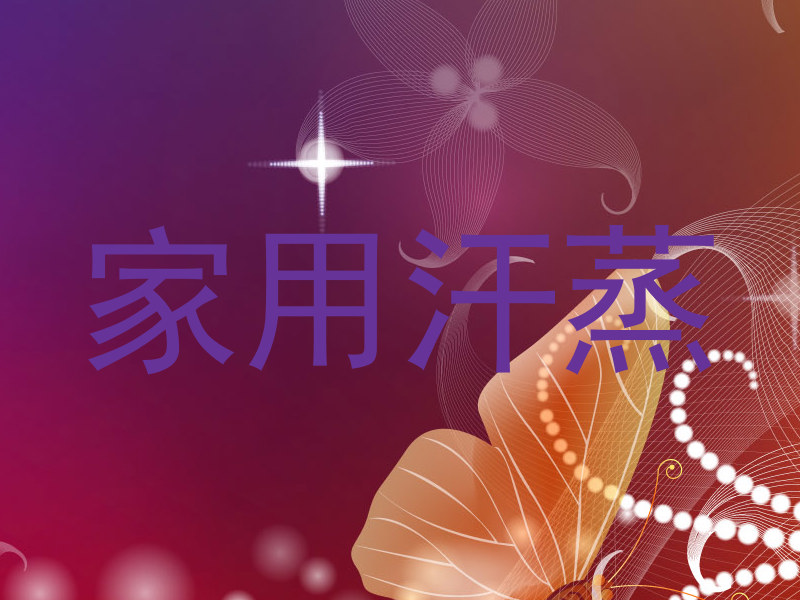 家用汗蒸