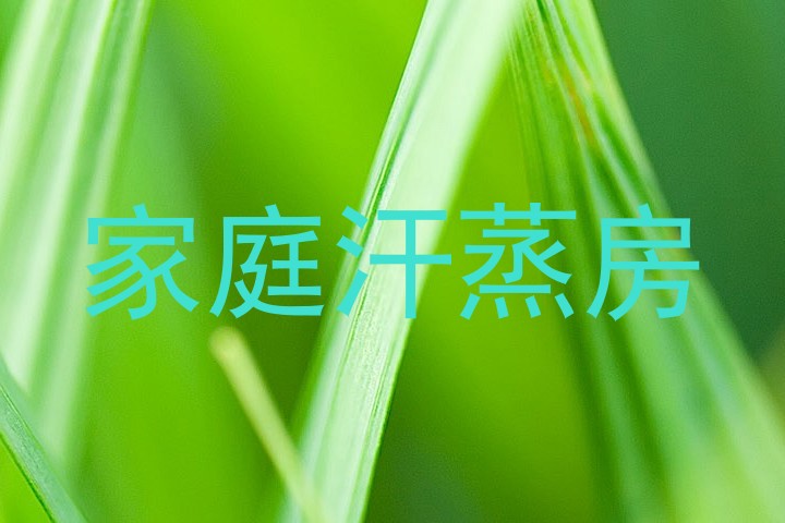家庭汗蒸房