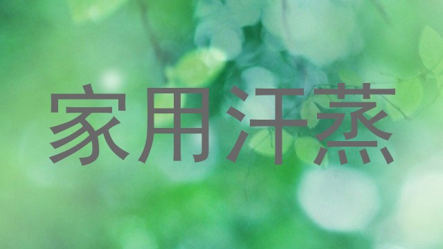 家用汗蒸