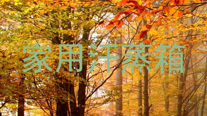 家用汗蒸箱