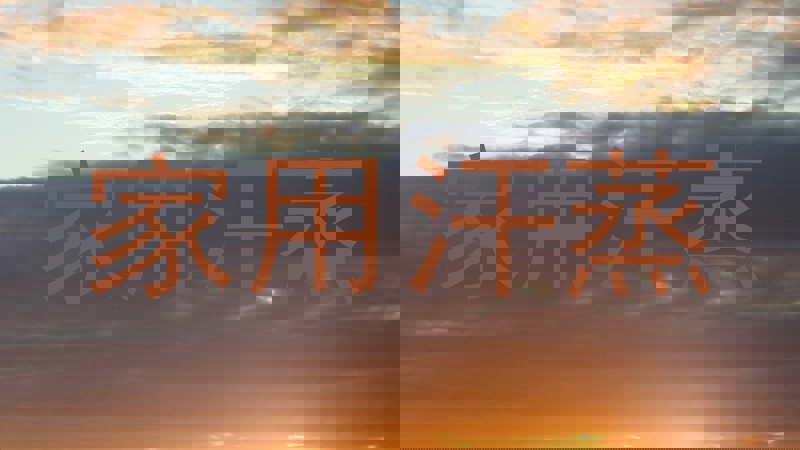 家用汗蒸