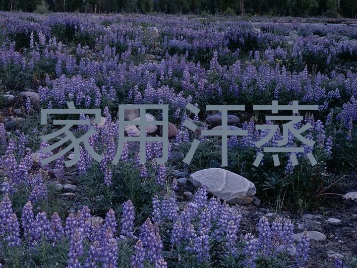 家用汗蒸