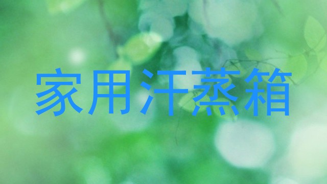 家用汗蒸箱