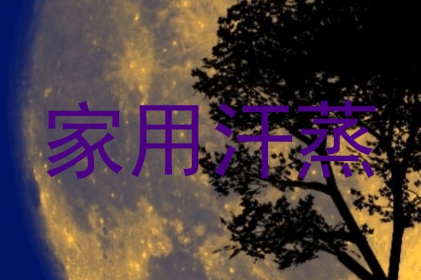 家用汗蒸