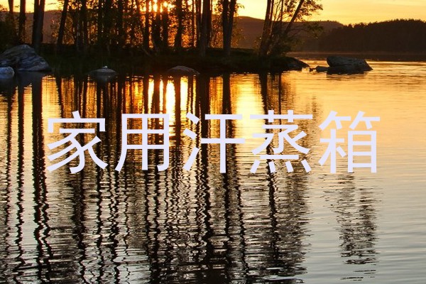 家用汗蒸箱