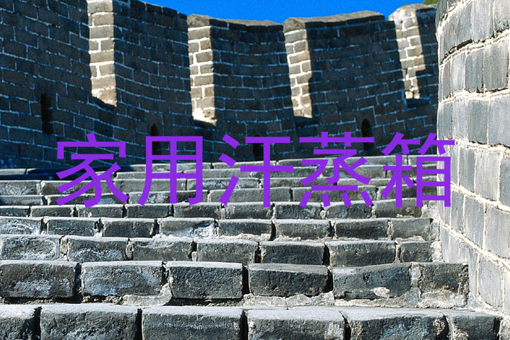 家用汗蒸箱