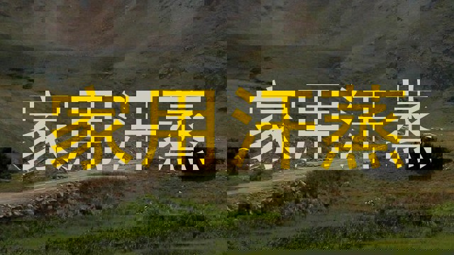 家用汗蒸