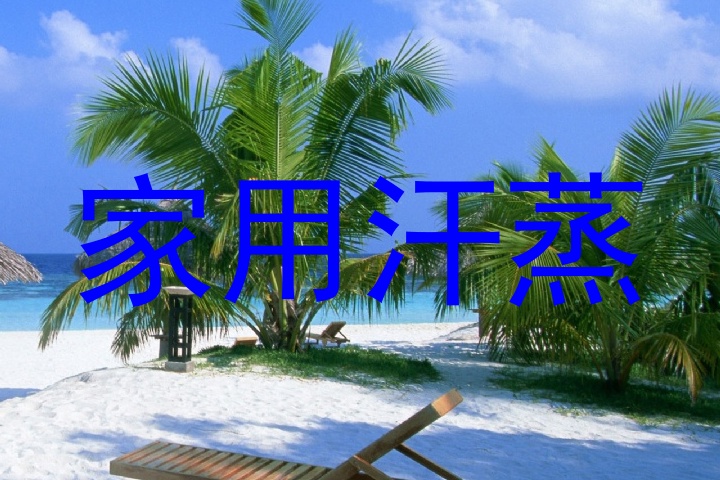 家用汗蒸