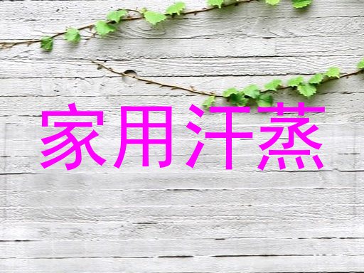 家用汗蒸