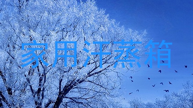 家用汗蒸箱
