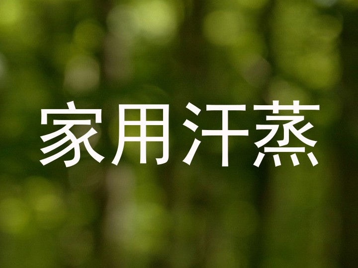家用汗蒸