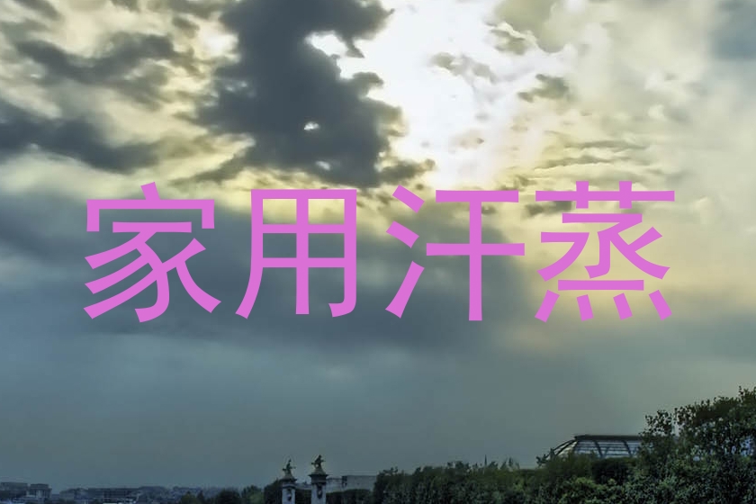 家用汗蒸