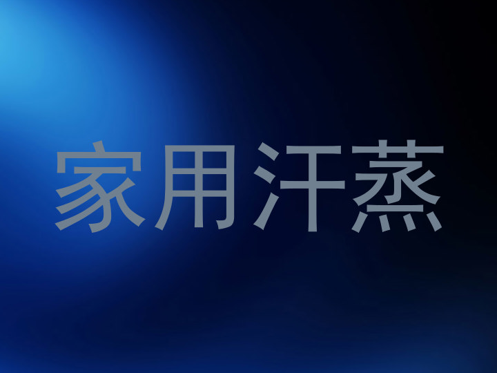 家用汗蒸