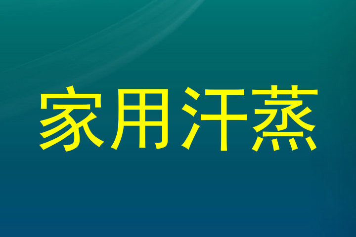 家用汗蒸