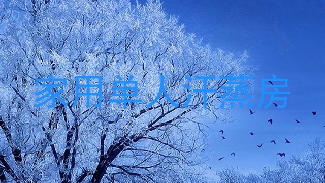 家用单人汗蒸房