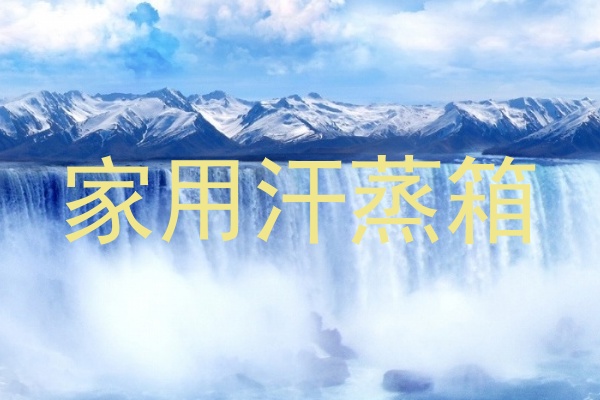 家用汗蒸箱