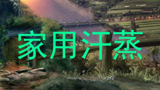 家用汗蒸
