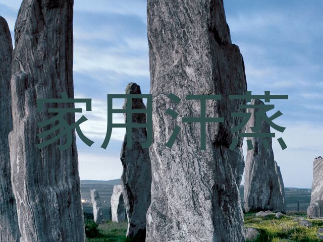 家用汗蒸