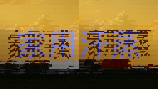 家用汗蒸