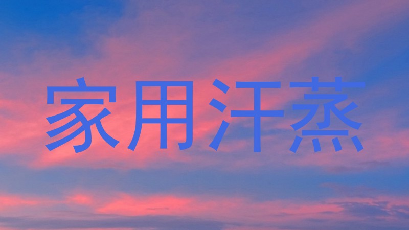 家用汗蒸