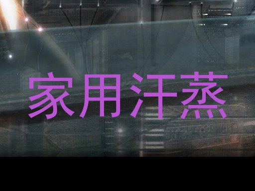 家用汗蒸