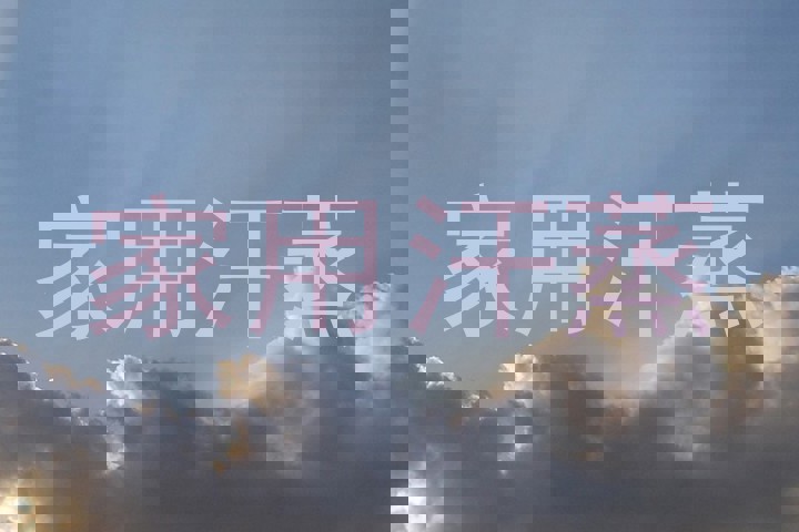 家用汗蒸
