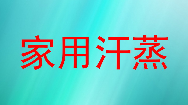家用汗蒸