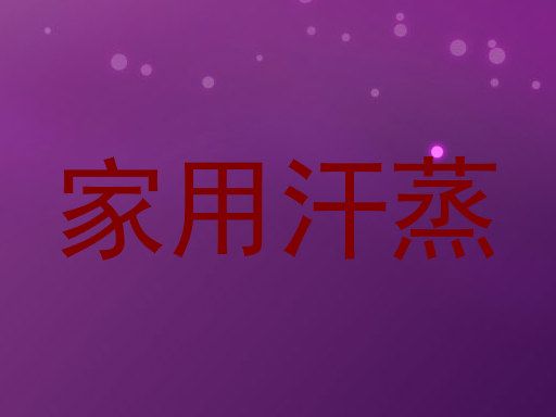 家用汗蒸