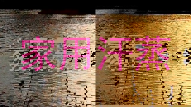 家用汗蒸