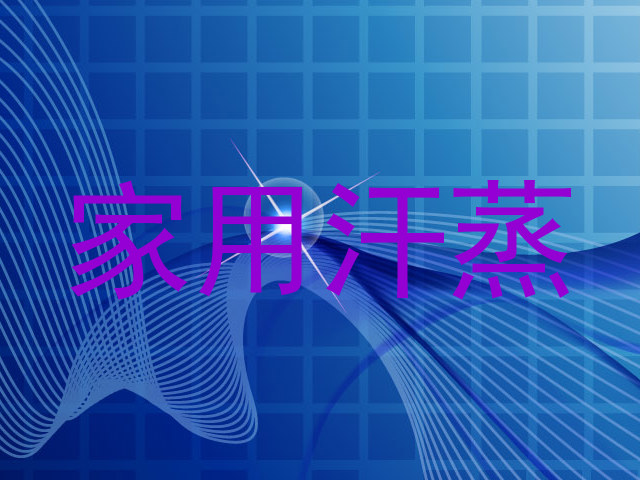 家用汗蒸