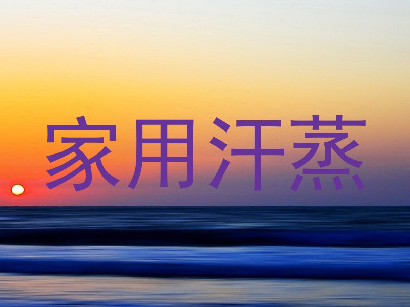 家用汗蒸