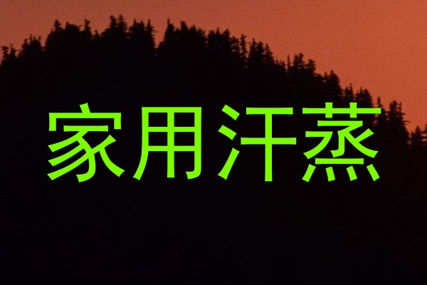家用汗蒸