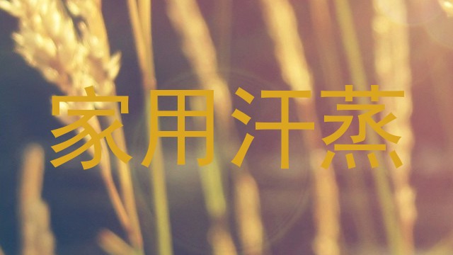 家用汗蒸