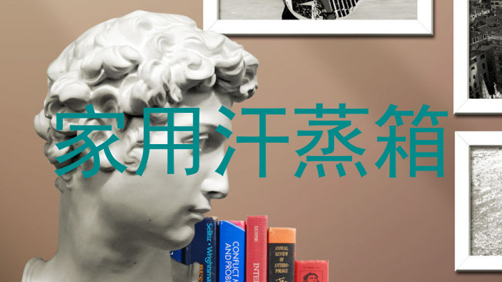 家用汗蒸箱