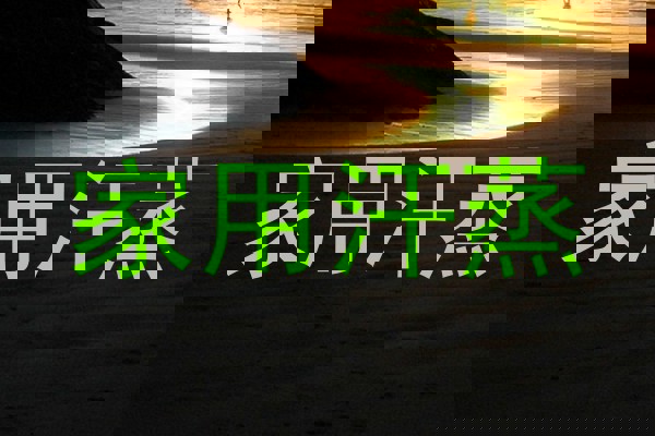 家用汗蒸